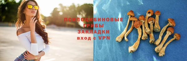 бошки Аркадак