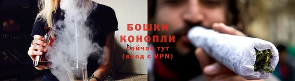 бошки Аркадак