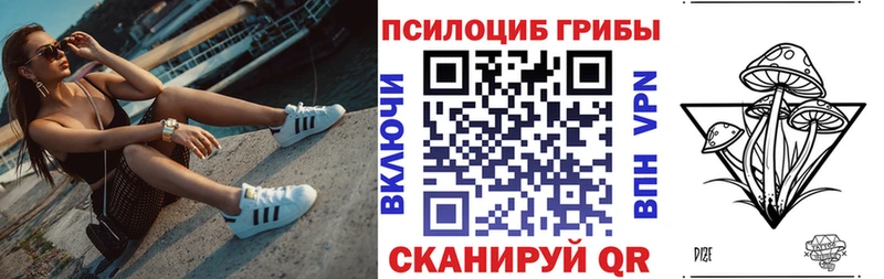 Галлюциногенные грибы прущие грибы  Курильск 